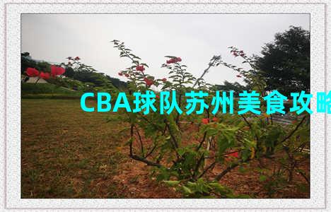 CBA球队苏州美食攻略