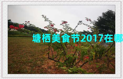 塘栖美食节2017在哪