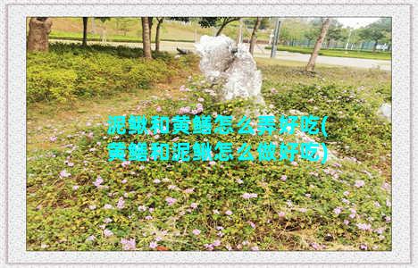 泥鳅和黄鳝怎么弄好吃(黄鳝和泥鳅怎么做好吃)