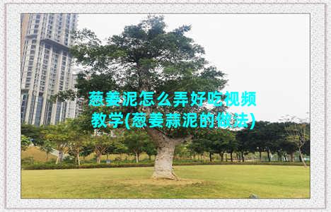 葱姜泥怎么弄好吃视频教学(葱姜蒜泥的做法)